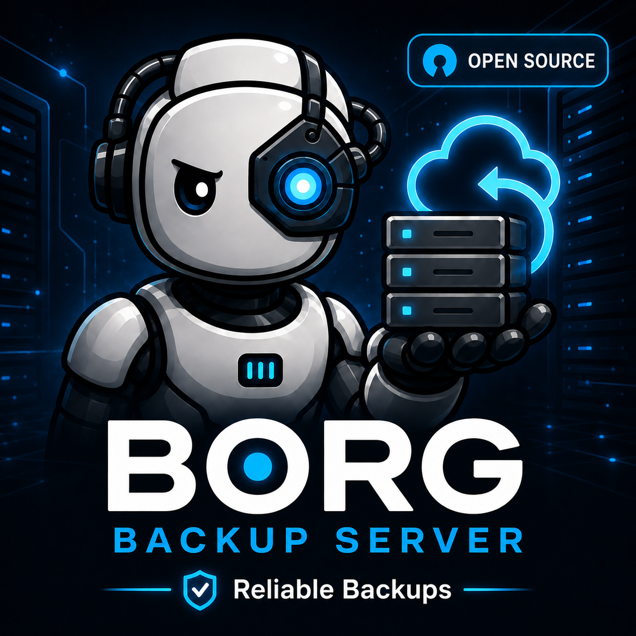 Borg Backup Server